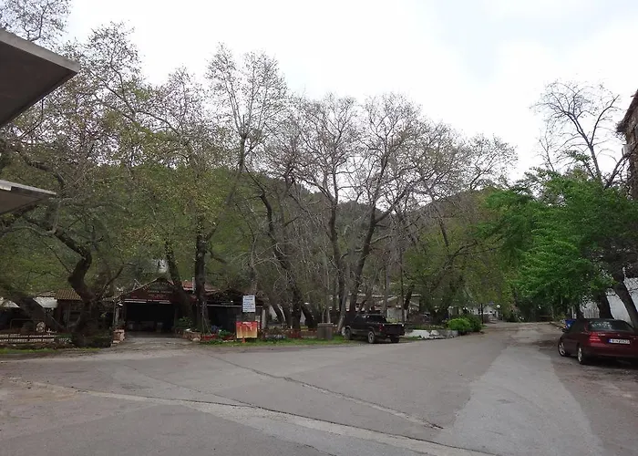 40 Platania Hotel 2*